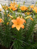 [5087 Eremo No01.JPG]